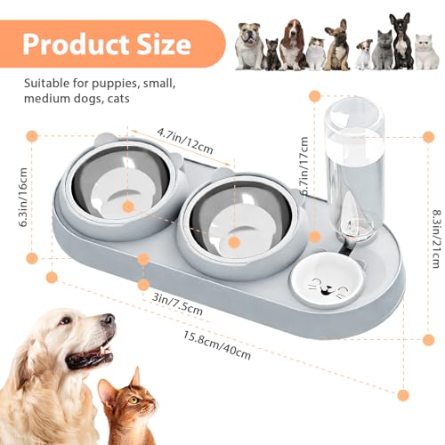 3-in-1 Katzennapf,Katze Futternapf und Wassernapf Set mit Wasserspender Edelstahl Doppel-Katzennäpfe 15° Neigbar für Katzen und Kleine Hunde Haustiere Abnehmbarer Futternapf