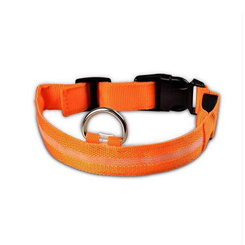 Wishdeal Collar de perro con luz LED para perros pequeños, medianos y grandes, funciona con pilas, Teddy Yorkshire Golden Retriever Husky Bull Labrador (S (34-41 cm), naranja) Cover