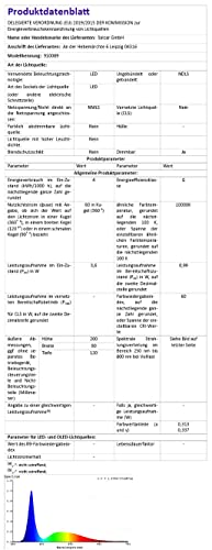 SALCAR Catena LED 5m, Tenda di luci LED con 40
