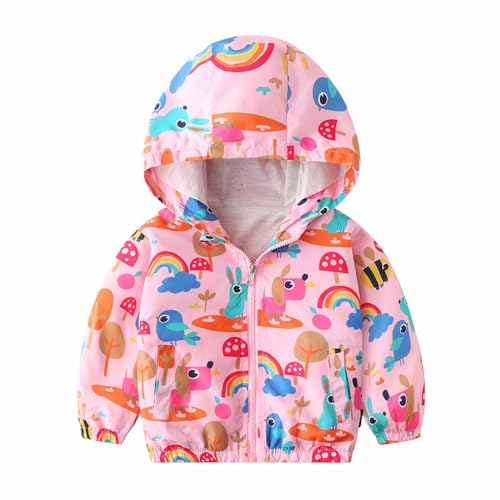 Boys Girls Warm Lined Coat School Fall Winter Windproof Fleece Hooded Light Zip Packable Big Outdoor Jacket Clothes2