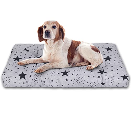Colchones Perros Medianos Marca MERCURY TEXTIL