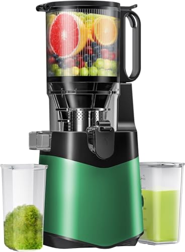 Slow Juicer Machines, 5.8" Feeding Chute For Fruits and Vegetables,