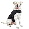WingFly Hundemantel Beruhigungsweste Hund Anxiety Shirt Stressabbau für Hunde Angst Hundeangst Jacke Hundeentlastungs Haustier Kleidung Haustier Emotionale Beruhigend (L, Grau)