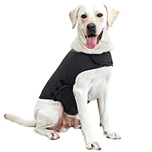 WingFly Hundemantel Beruhigungsweste Hund Anxiety Shirt Stressabbau für Hunde Angst Hundeangst Jacke Hundeentlastungs Haustier Kleidung Haustier Emotionale Beruhigend (L, Grau)