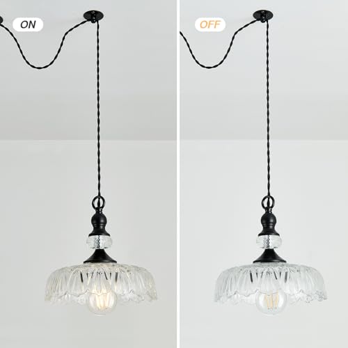 Image of CVKASH Plug in Glass Pendant Light Fixture Black Vintage Adjustable Chandelier Hanging Ceiling Light for Farmhouse Hallway Bedroom Foyer Kitcken Dining Room Island.
