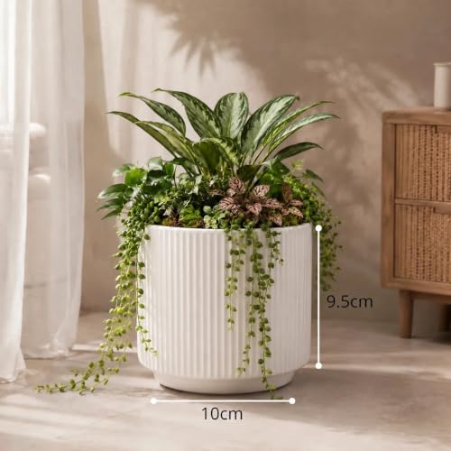 Image of elaris Elegant Ribbed Ceramic Planter for Indoor Plants | Contemporary Textured Flower Pot for Living Room, Bedroom, Office Desk, Shelf & Tabletop Decor (White) 3.74 inch