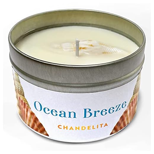 Chandelita Velas Aromáticas Grandes de Brisa Marina con Conchas Marinas y Cera de Soja Natural - Velas Decorativas - Vela Aromatica Perfumadas - Candles - Para relajación y Meditación