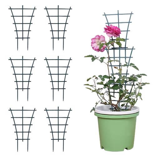 Axvxby 6 Stück Rankhilfe Zimmerpflanzen für Gurken Balkon Garten Pflanzenstütze Wiederverwendbare Pflanzengitter Set aus stabilem Material mit mehr Wachstumsplatz
