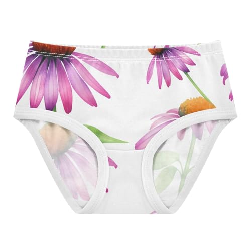 Girls Underwear Toddlers 2t Cotton Little Girl Panties Artistic Kids Undies Briefs Purple Echinacea Flowers White