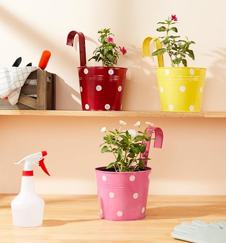 Image of Amazon Brand - Solimo Dotted Round Railing Planter for Balcony (Multicolor, Set of 3) | Dotted Railing Metal Pots for Balcony and Home Gardening, Indoor, Outdoor
