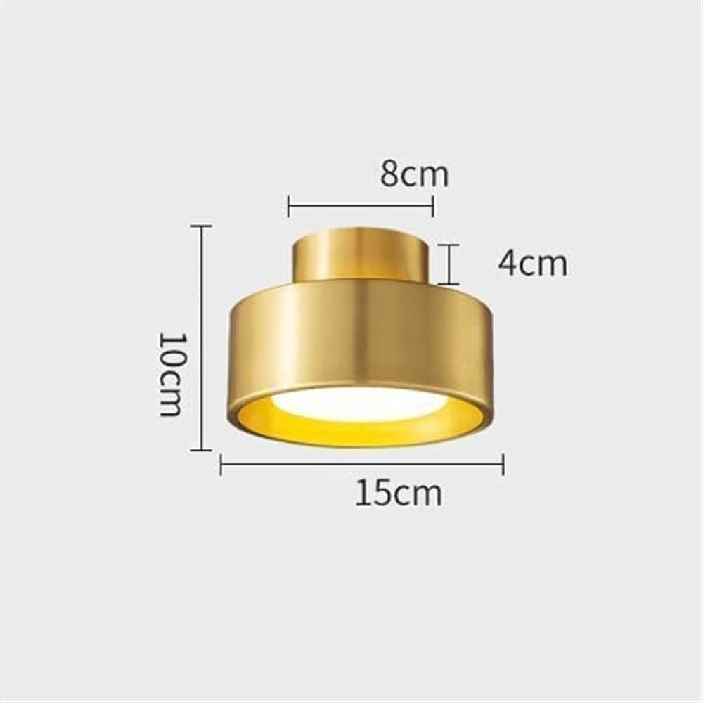 Nordic Hallway Ceiling Lights, 3-Color Dimming LED Copper Ceiling Light Fixture, with White Acrylic Shade Round Flush Mount Ceiling Lamp, for Bedroom Living Room Kitchen ﻿ ﻿(Black)