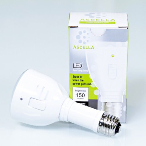 Buy Ascella Emergency Light Bulb Online at desertcartZimbabwe