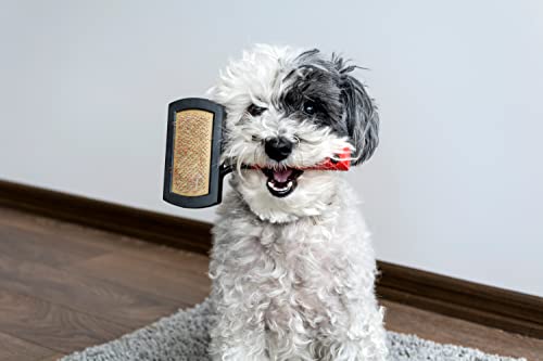 Lammfellbürste für Lammfelle und Schaffelle, Universal-Pflegebürste mit Softgriff, Hundebürste Langhaar, Fellbürste für Haustiere, Hunde Bürste und Katzenbürste Langhaar Kurzhaarbürste, schwarz/rot