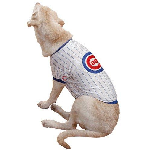 dog cubs jersey