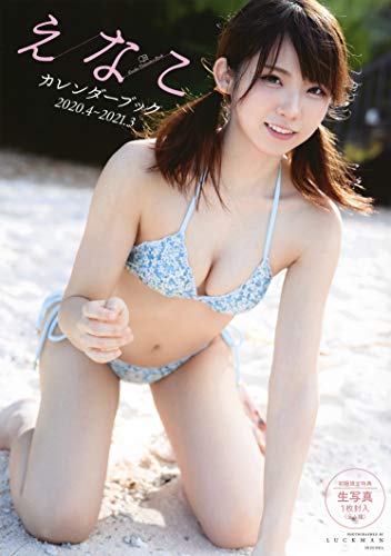 えなこカレンダーブック 2020.4~2021.3 (集英社ムック)