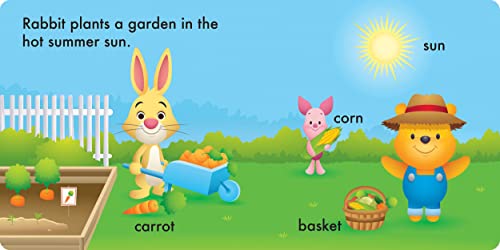 Disney Baby: Seasons Kid-Proof Books