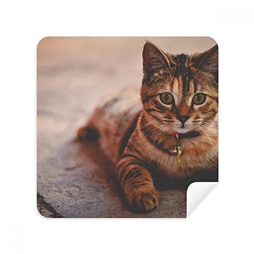 Suede tissu de nettoyage animaux chat pour optique et écran tactile 2Pcs