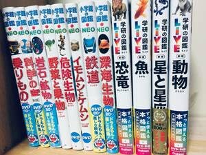 小学館の図鑑NEO DVD 12枚セット➕おまけ付き 小学館の図鑑NEO DVD 12枚セット➕おまけ付き Amazon.co.jp