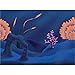 GloFish Color Changing Background 1 Count, For Aquariums Up To 25 Gallons