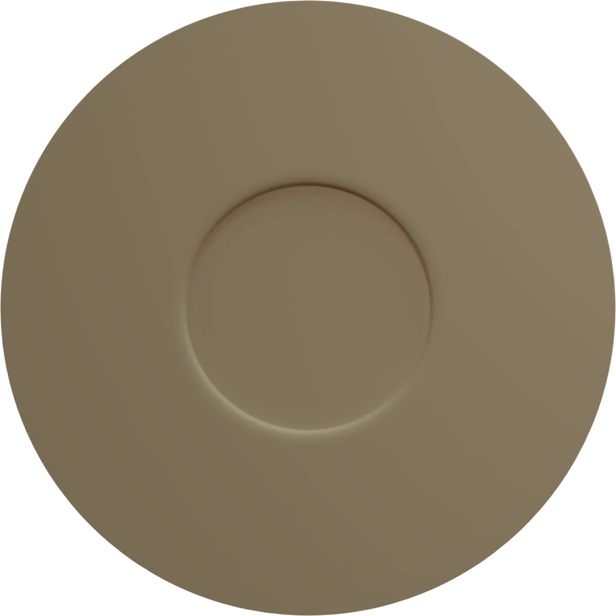 Ekena Millwork CM11PAACS Palmetto - Medaglione da soffitto in rame anticato 11 1/2"OD x 1"P Strega dipinto a mano Hazel Crackle