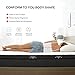 Sweetnight Queen Mattress in a Box - 12 Inch Plush Pillow Top Hybrid Mattress, Gel Memory Foam for Motion Isolating Individually Wrapped Coils, Queen Size, Twilight