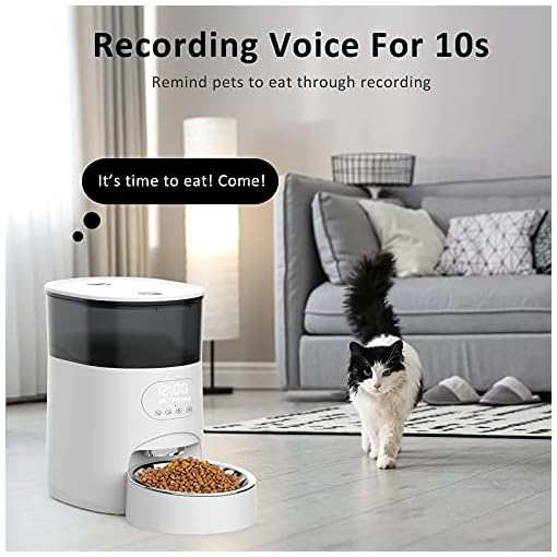 GHG Automatic Cat Feeder, 4L Auto Pet Food Dispenser with Stainless