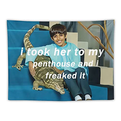 BionZax I Took Her To My Penthouse and I Freaked It Ravi Tapestry for Bedroom Aesthetic Funny and Meme Tapestries for College Dorm and Living Room - Small Size 30x40