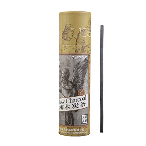 YYMIYU Willow Charcoal Bar 4-5mm Sketch Sketch Charcoal Pen 25pcs/Cylinder Extra Thick Charcoal Pen