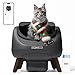 CATLINK Selbstreinigende Katzentoilette, Katzenklo XXL mit offenem Top-Design, 5 GHz WLAN, 12L Großvolumen, Für alle Streuarten, Ideal für Mehrkatzenhaushalte(Grau)