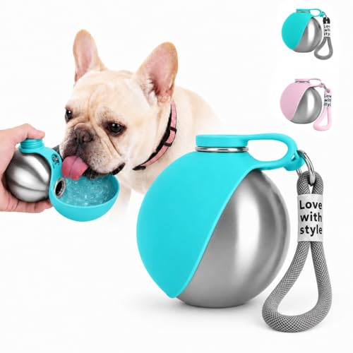 Portable Stainless Steel Dog Water Bottle 10oz with Foldable Bowl