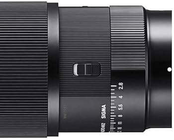 Sigma 105mm F2.8 DG DN Macro LensArt (L-Mount), Black : Amazon.in