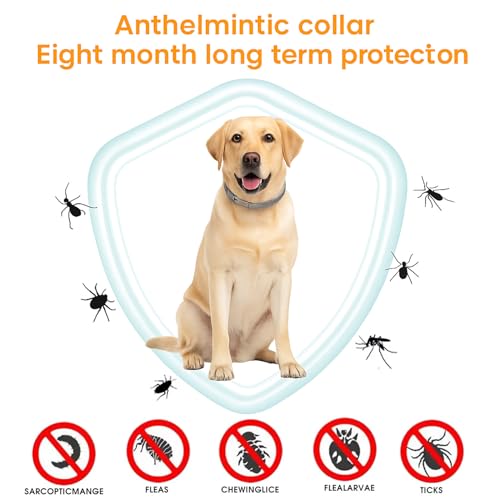 UroClysmic 2er-Pack Halsband für Hunde - Natürliches Ätherisches Öl, Wasserdicht, Verstellbar, 16 Monate Schutz für Welpen und Hunde ab 7 Wochen, Komfort und Sicherheit