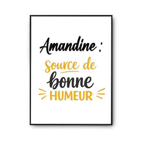Affiche Amandine Otshirt : finis les murs vides avec ce poster humour made in France