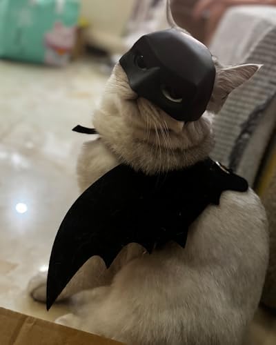 Cat Bat Mask and Pet Cat Wings for Halloween Costumes, Dog Bat Cosplay Apparel, Pet Dress Up Accessories (Mask and Wings)