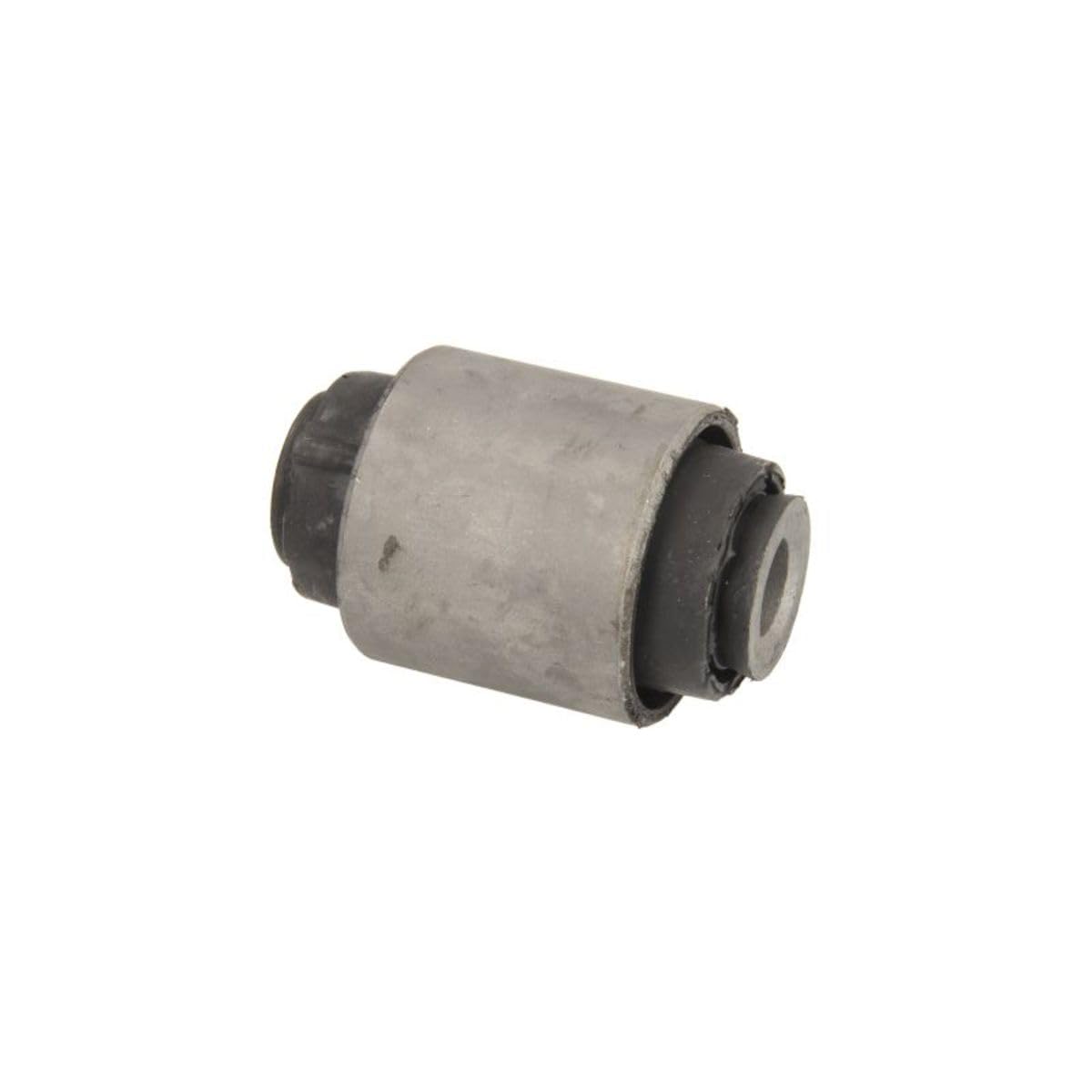 Delphi TD1655W Supporto Braccio Oscillante-image