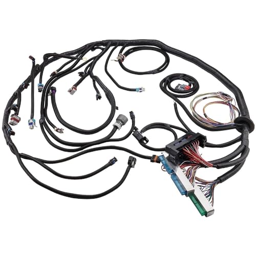 LS Standalone Wiring Harness, Standalone Swap Engine Wire Wiring Harness with 4L60E Transmission Drive by Wire, Compatible with Chevy GMC LS3 DBW Engines 4.8 5.3 6.0 EV6 Injector 2003-2007 -  dihanfs, DF-A-XJ5426
