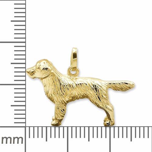 CLEVER SCHMUCK Golden Retriever Halskette 26 mm plastische 3D Form 45 cm 925 Sterling Silber vergoldet Geschenke für Hundebesitzer im Etui anthrazit