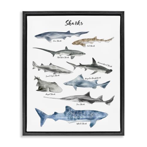 'Shark Chart Watercolor Marine Animals'| Floating Frame Canvas Art
