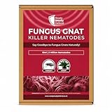 Fungus Gnat Killer Nematodes 10 m² (5 million) Indoor Plants - Effective Biological Control, Ideal Gnats Killer Indoor Plants, Comprehensive Scairid Fly Killer for Houseplants