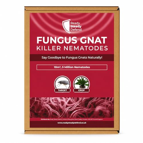 Fungus Gnat Killer Nematodes 10 m (5 million) Indoor Plants - Effective Biological Control Ideal Gnats Killer Indoor Plants Comprehensive Scairid Fly Killer for Houseplants