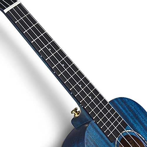 Enya Concert Ukulele 23" Blue All Solid Mahogany Ukeleles For Adults Beginners Kids With Cherry Blossom Pattern Bundle Case Tuner Strap Strings Capo Sand Shaker Picks Polish Cloth (Euc-Ms Bu) #TOP3