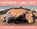 Mothers Are Like That: A Gentle and Reassuring Picture Book About Maternal Care for Toddlers (Ages 0-3)