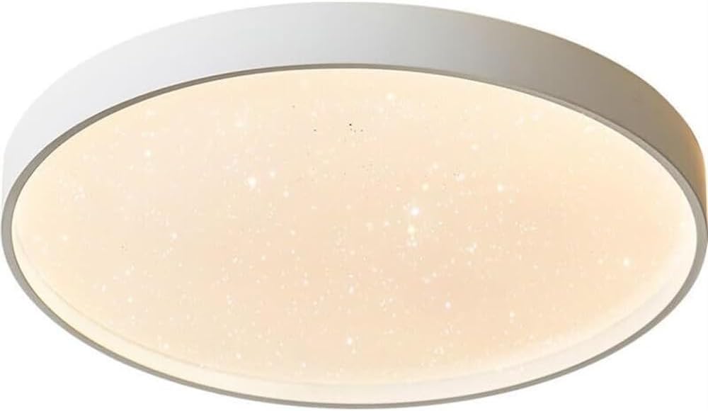 Modern Home Decoration Small Hallway Light Acrylic LED Ceiling Light Fixtures Flush Mount White Round Flat Ceiling Light for Living Room Dining Room Study Villa Bedroom Corridor Children's Ro