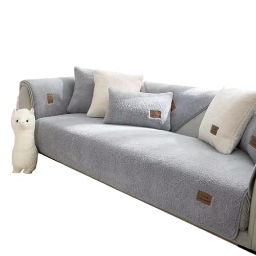 [SDTEHVM] VFpt[X\t@Jo[ 1`4l|\t@p ~ߕt 􂦂 jo[TL^\t@veN^[ XbvJo[(Grey1,110x160cm)