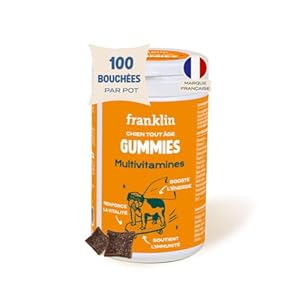 FRANKLIN – Gummies Multivitamines Chien – Complément Alimentaire pour Chien – Soutient Complet – Renforce l’immunité – Soins Peau et Pelage – Principes Actifs – Vitamine C, B – 100 Bouchées – 150 g
