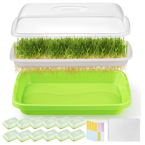 FELISTORY 12 Pack Green Seed Sprouter Trays with Lid Soil-Free Cultivation Germination Tray Fodder Sprouting Trays Nursery Tray with Planting Paper for Indoors Outdoors