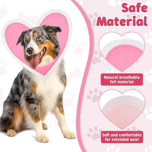 Disfraz para perro con doble corazón tamaño grande miniatura 4
