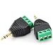 CablesOnline 3.5mm (1/8in) Stereo Male Plug to AV 3-Screw Terminal Block Balum Connector, (2-PACK)(PL-CN13-2)
