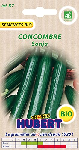 25 Graines Biologiques de Concombre Sonja