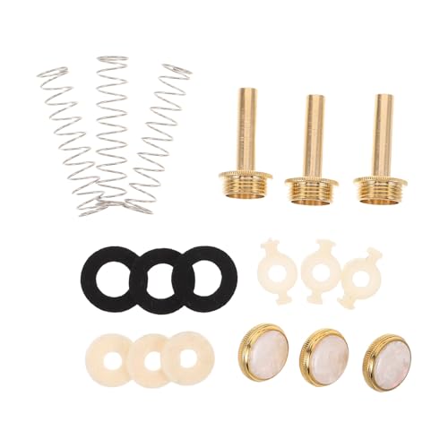 LIFKOME Kit de Reparación para Trompeta Válvula Chapadas Botones Redondos Muelle de Fieltro y Arandelas...